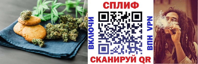 где найти наркотики  mega ссылки  Cannafood марихуана  Зима 