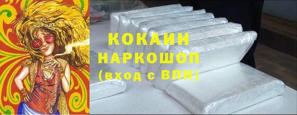 тгк Володарск