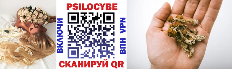 Псилоцибиновые грибы мицелий  где можно купить   Зима 